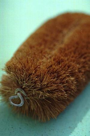 アニマルのマグカップについて