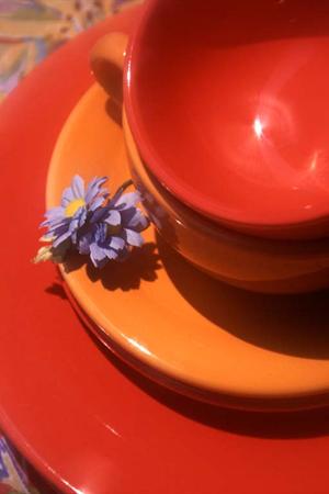 クリーニングふとんは、100%ダニを除去します