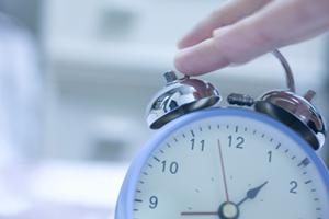 広島都市部でのイタチ駆除の注意点